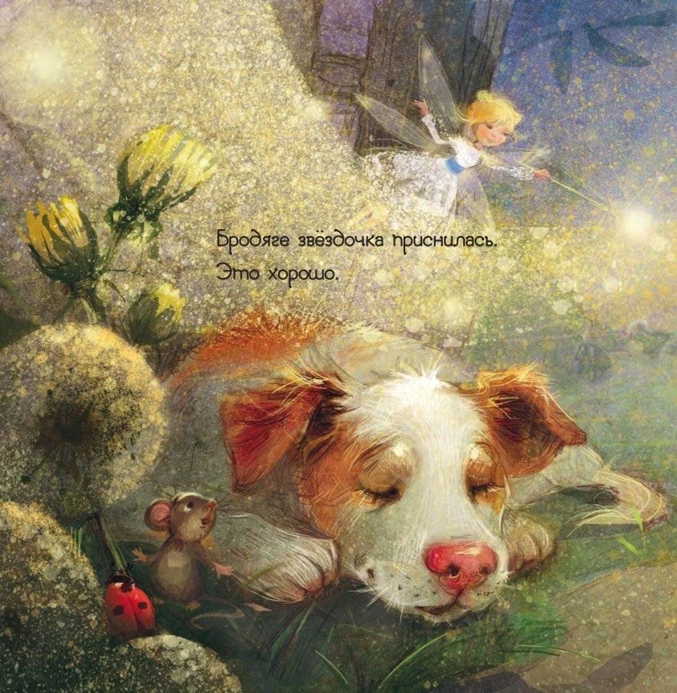 Пёс и звёздочка фото книги 2