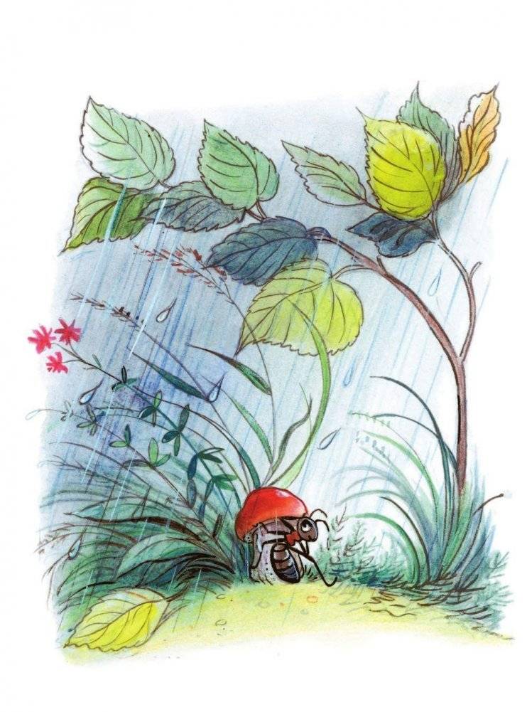 Книга сказок В. Сутеева фото книги 7