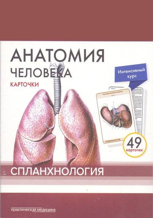 Анатомия человека. Спланхнология (49 карточек) | Human Anatomy: Splanchnology (49 Cards)