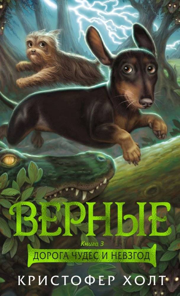 Верные. Книга 3. Дорога чудес и невзгод | The Faithful. Book 3. The Road of Wonders and Hardships