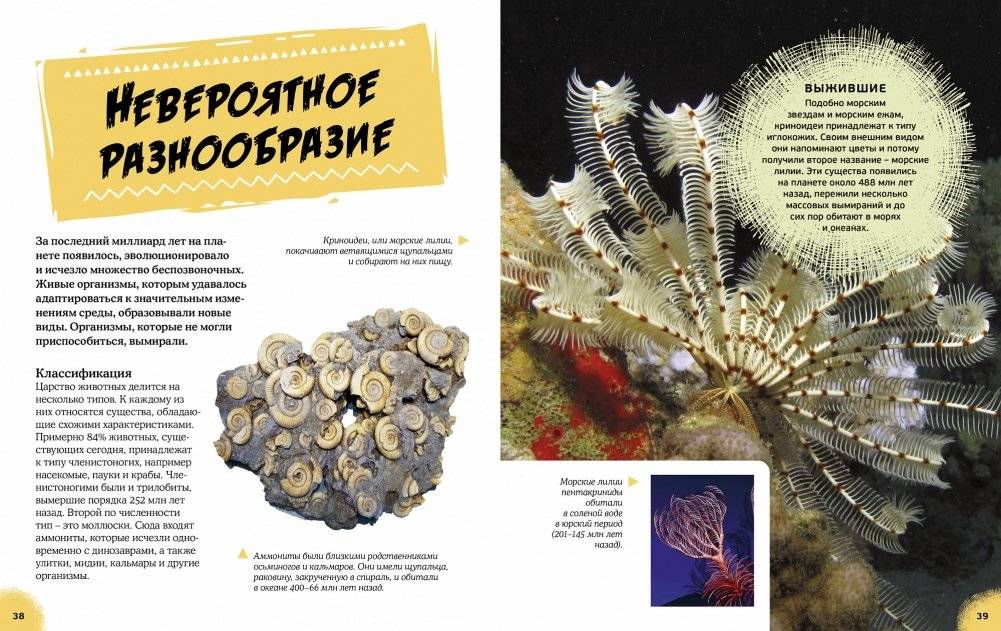 Эра динозавров. Жизнь в доисторические времена фото книги 5