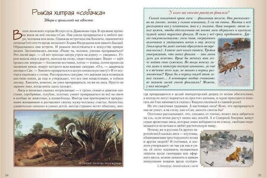 Кошки и собаки. Знакомые и неизвестные фото книги 2