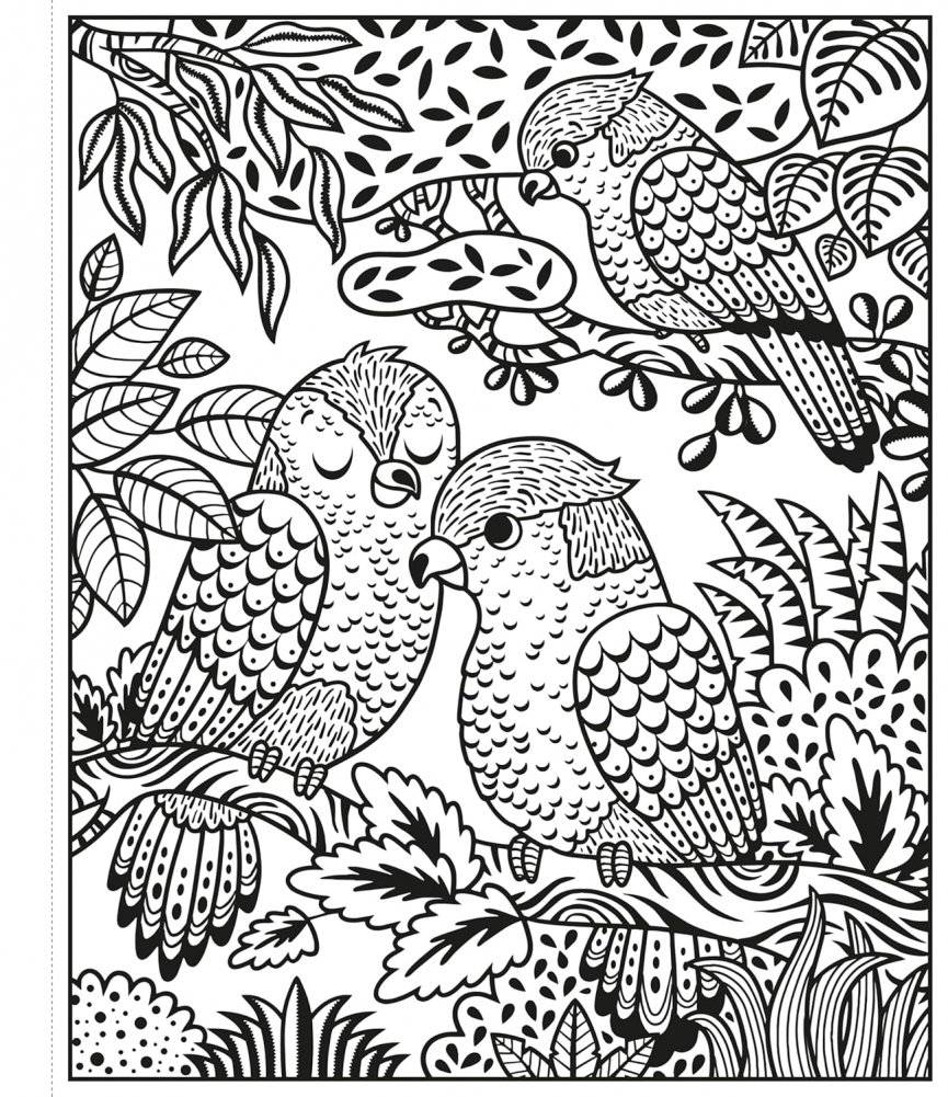 Zoo Magic Painting Book фото книги 2