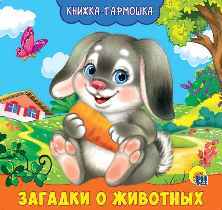 Загадки о животных | Animal Riddles