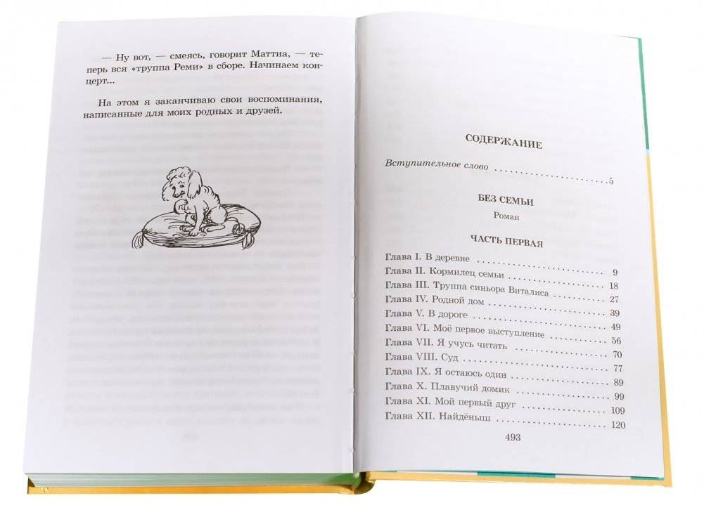 Без семьи фото книги 6