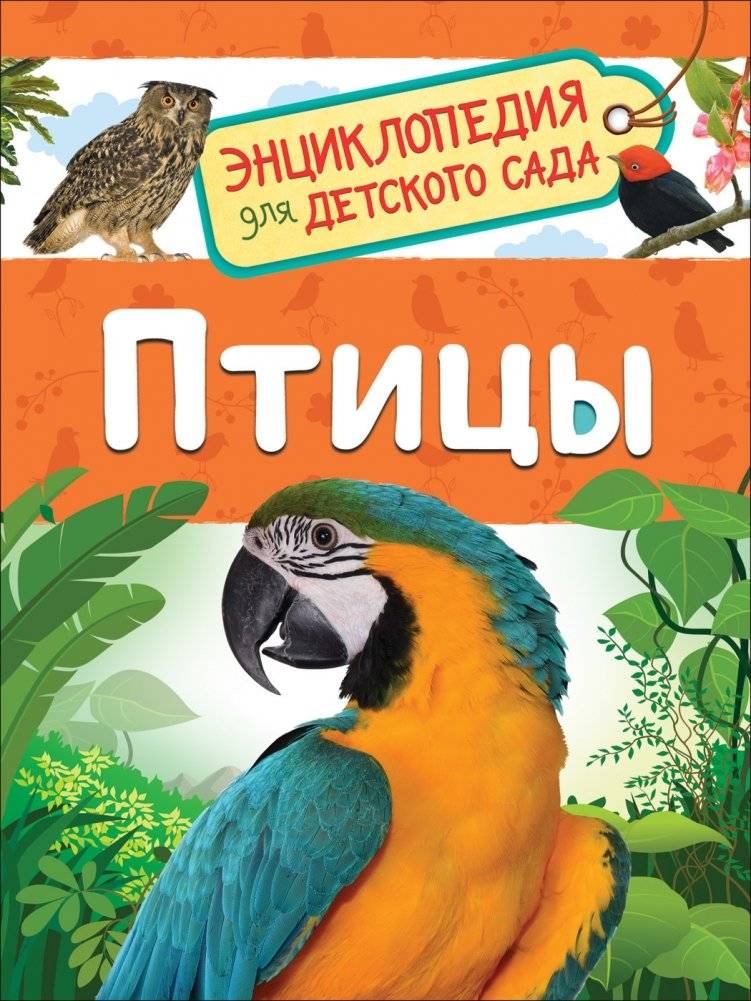 Птицы. Энциклопедия для детского сада | Birds: Encyclopedia for Kindergarten
