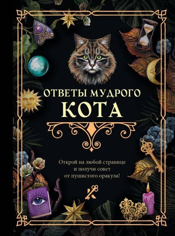 Ответы мудрого кота | The Wise Cat's Answers