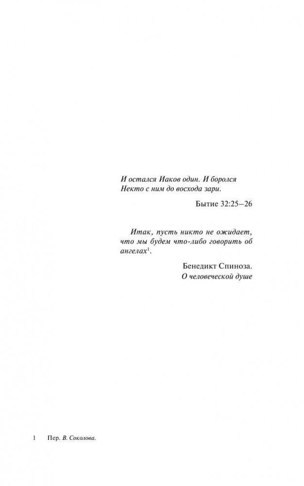 Почерк Леонардо фото книги 4