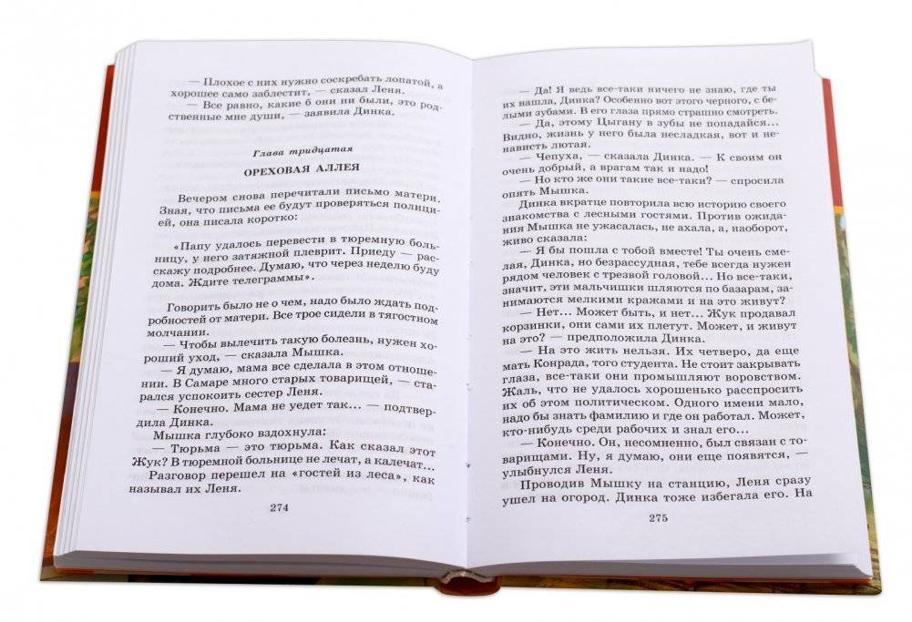 Динка прощается с детством фото книги 4