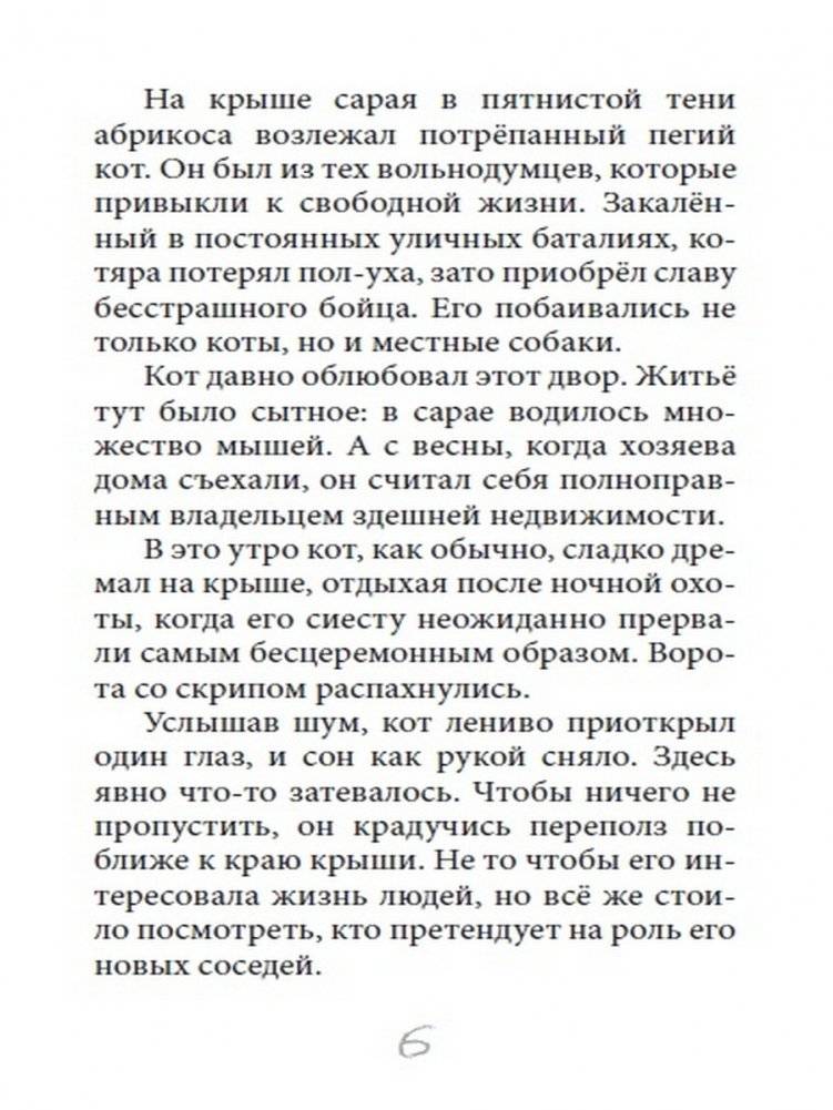 Кот на счастье фото книги 3