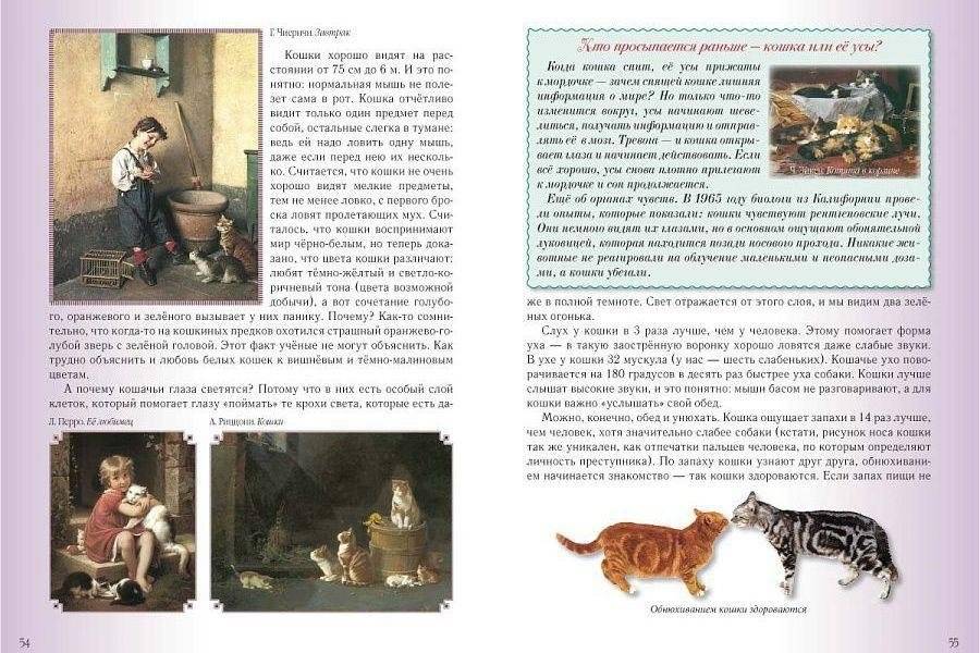 Кошки и собаки. Знакомые и неизвестные фото книги 5
