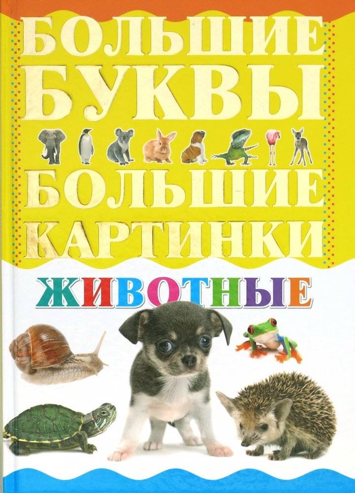 Животные | Animals