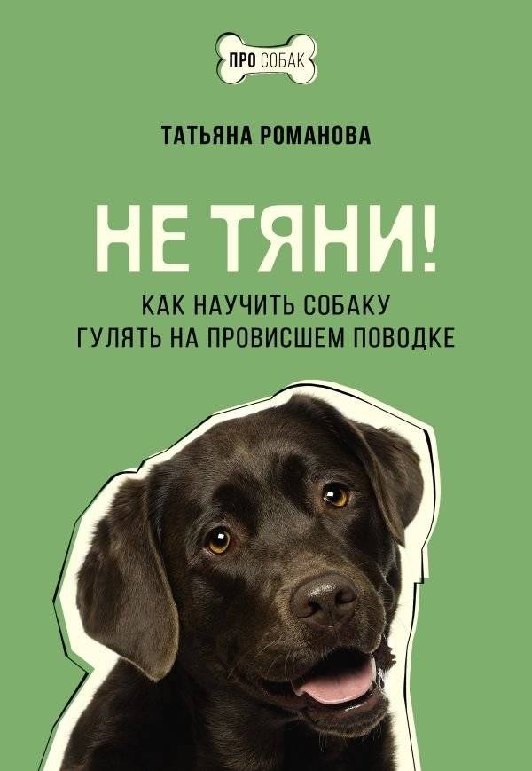 Не тяни! Как научить собаку гулять на провисшем поводке | Don't Pull! How to Teach Your Dog to Walk on a Loose Leash