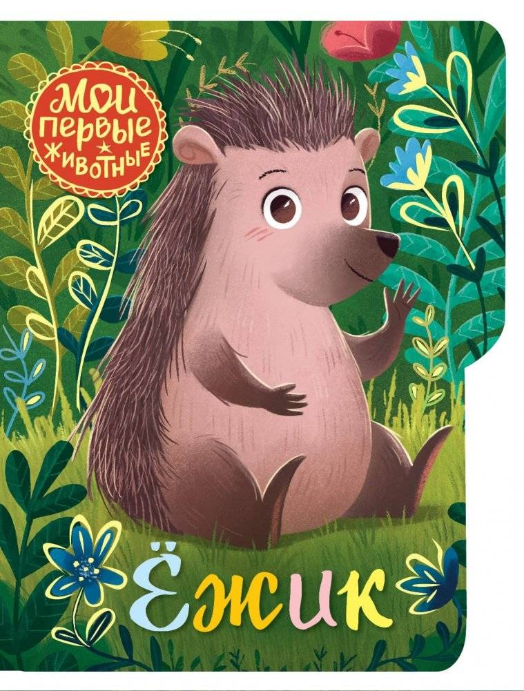Ёжик | Hedgehog
