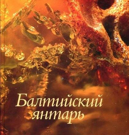 Балтийский янтарь | Baltic Amber