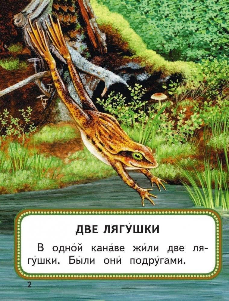 Кощей Бессмертный фото книги 2