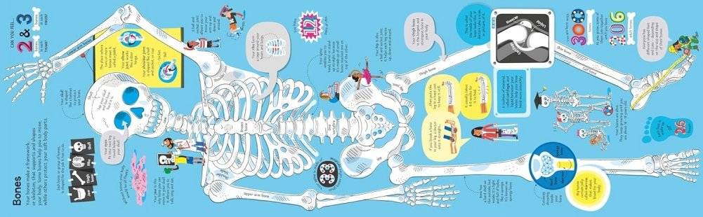 Big Book of The Body фото книги 2