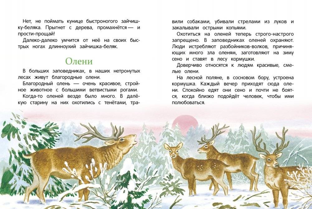 Рассказы о природе фото книги 4
