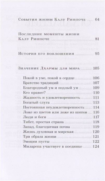 Совершенный буддизм. Жизнь, достойная подражания фото книги 4
