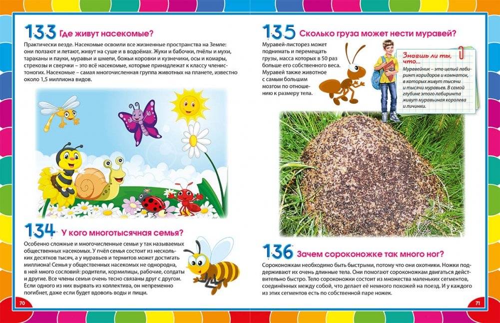Лучшая энциклопедия для детей от 6 до 12 лет фото книги 5