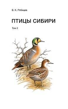 Птицы Сибири. Справочник-определитель (количество томов: 2) фото книги 2