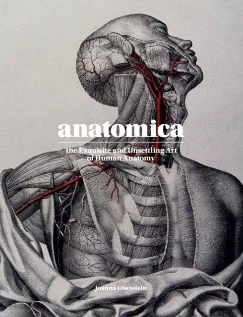 Anatomica. Изысканное и тревожное искусство анатомии человека | Anatomica. The Exquisite and Unsettling Art of Human Anatomy