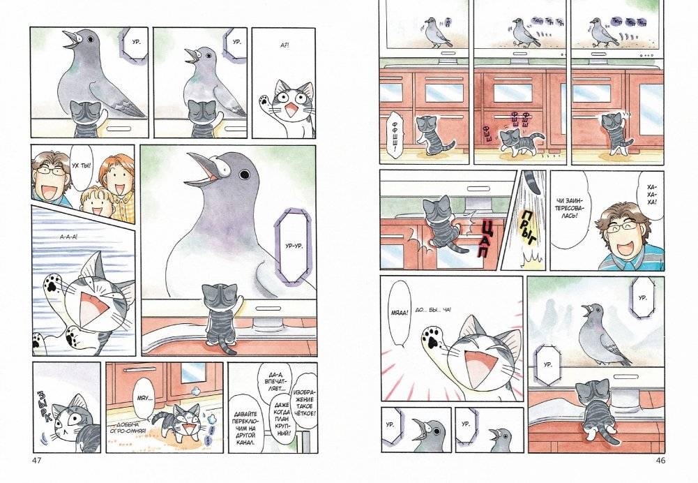 Милый дом Чи. Книга 7 фото книги 2