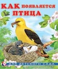 Как появляется птица