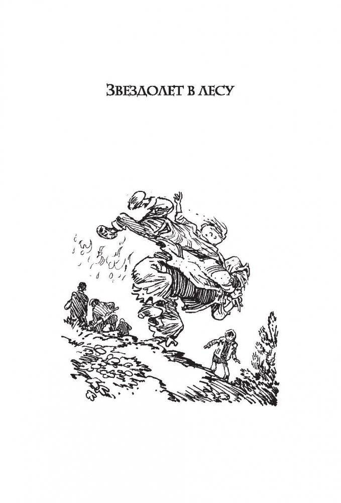 Звездолет в лесу фото книги 6
