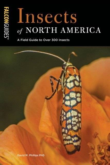 Насекомые Северной Америки: Полевой определитель | Insects of North America: A Field Guide