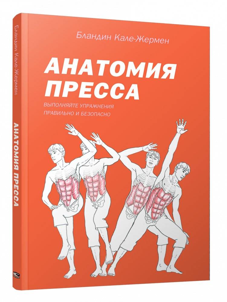 Анатомия пресса | Anatomy of the Abs