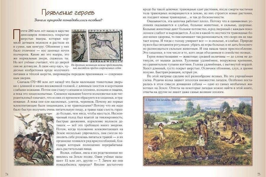 Кошки и собаки. Знакомые и неизвестные фото книги 3