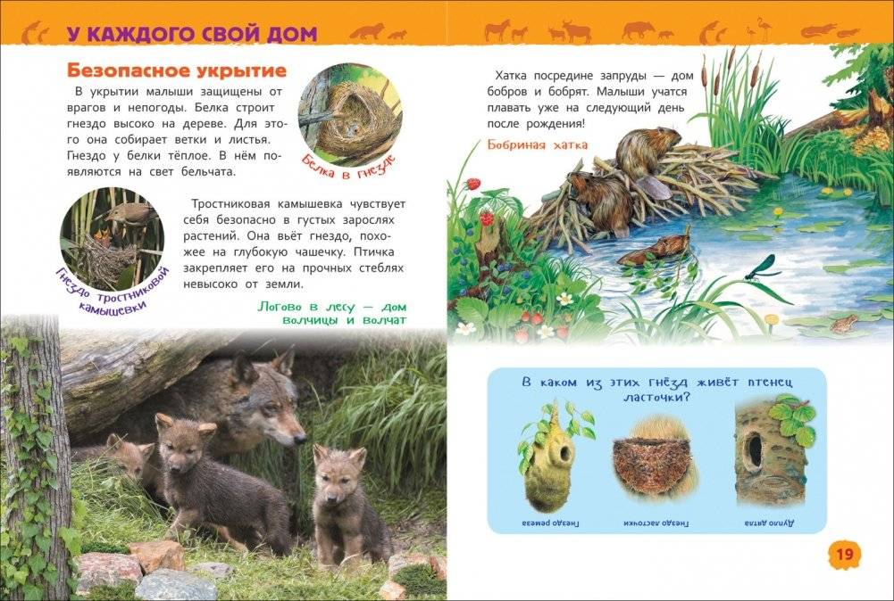 Детеныши животных. Энциклопедия для детского сада фото книги 4