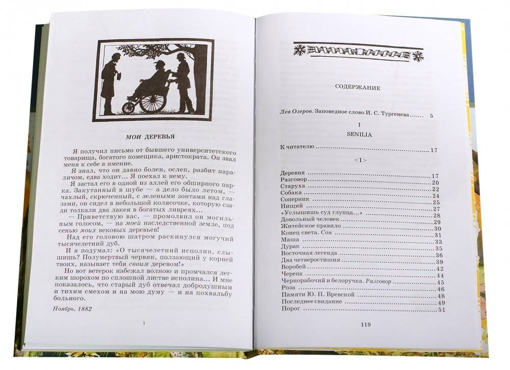 Стихотворения в прозе фото книги 2