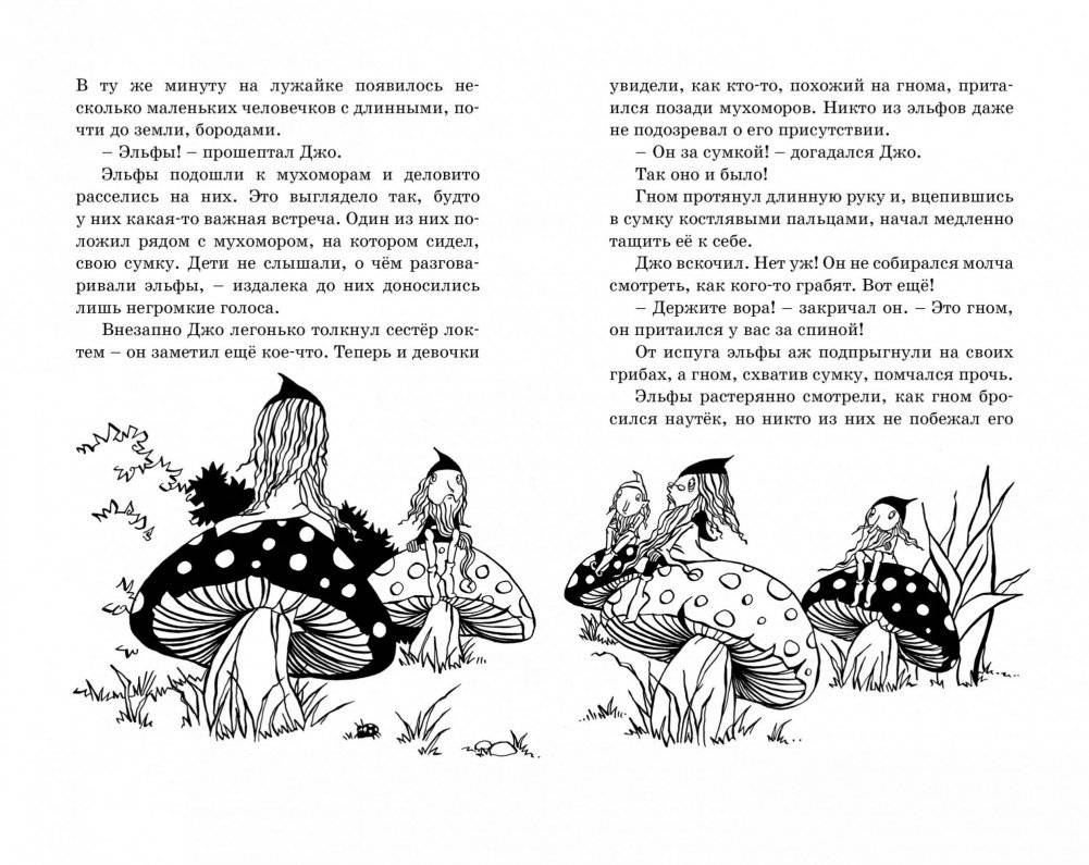 Заколдованный лес фото книги 2