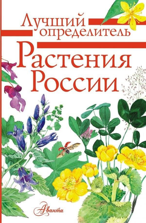 Растения России | Plants of Russia