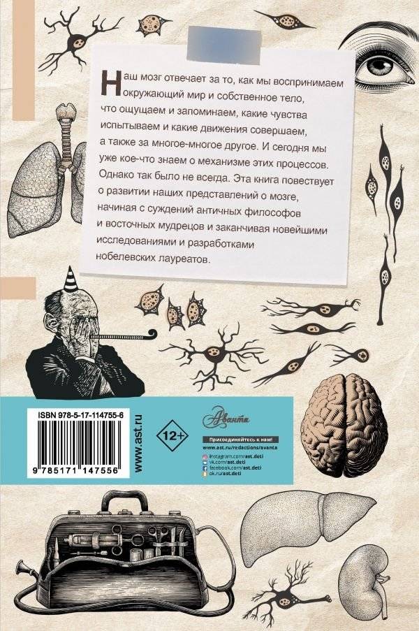 Мозг. От древних мифов к нейробиологии фото книги 2