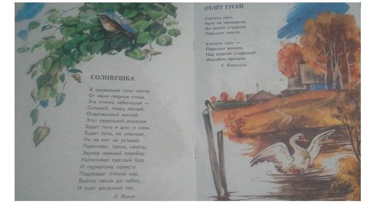 Соловушка фото книги 4