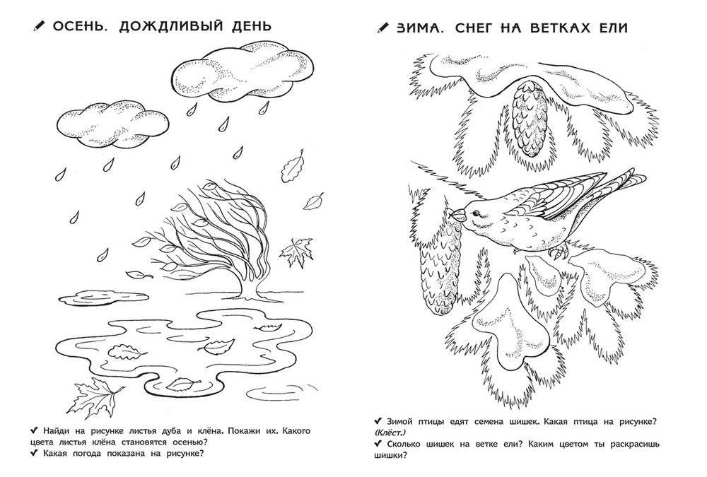 Раскраска для детского сада. Времена года фото книги 2