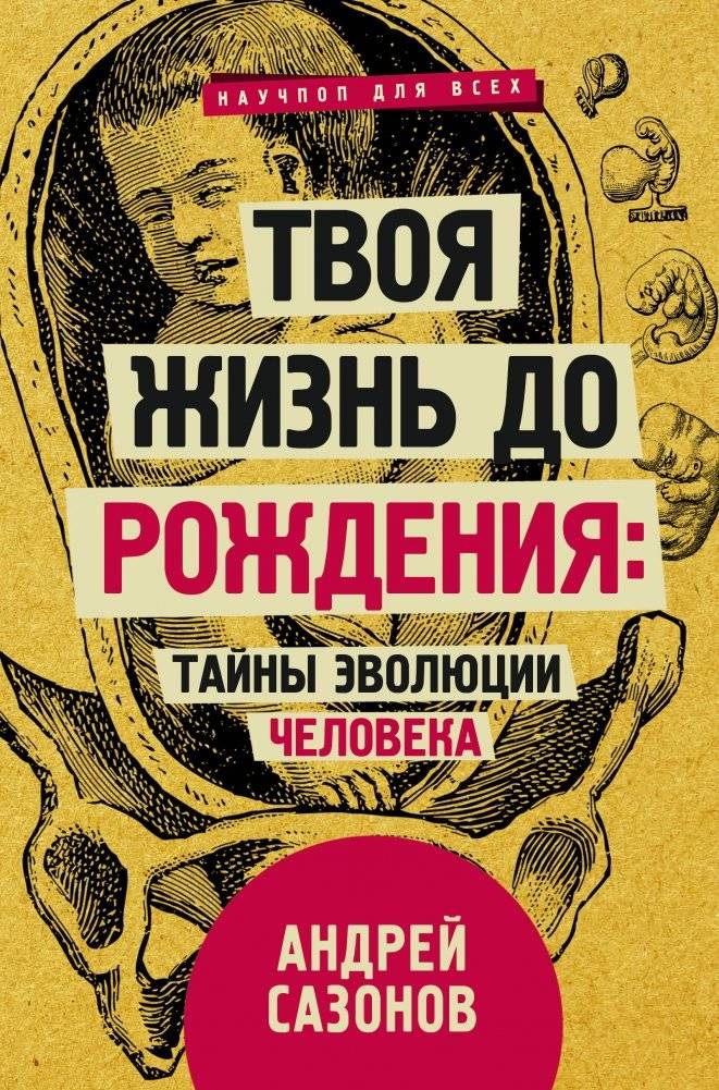 Твоя жизнь до рождения: тайны эволюции человека | Your Life Before Birth: Mysteries of Human Evolution