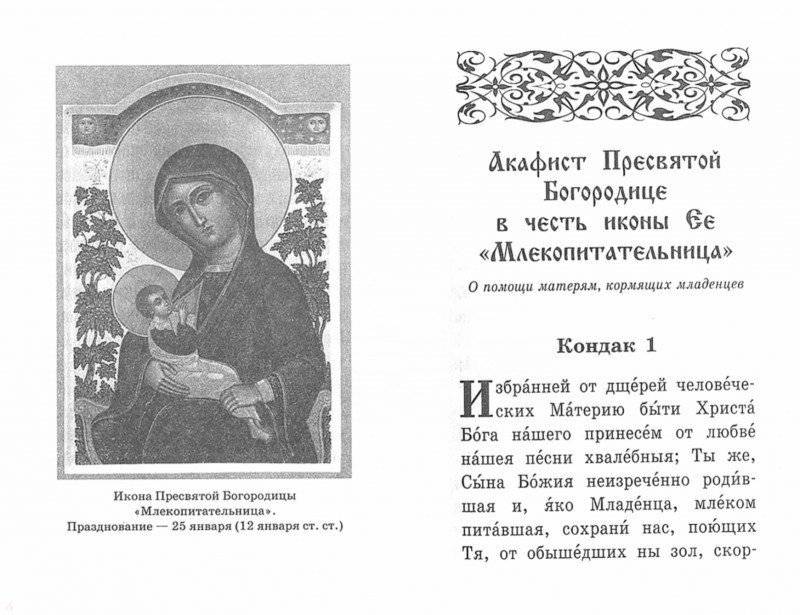 Душа моя взывает к Богу. Акафистник православной женщины фото книги 3