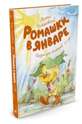 Ромашки в январе | Daisies in January