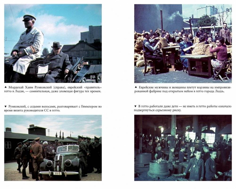 Освенцим. Нацисты и "окончательное решение еврейского вопроса" фото книги 2