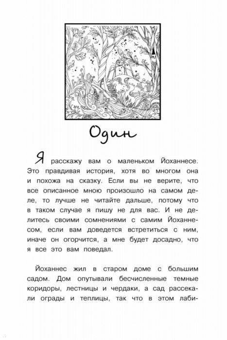 Маленький Йоханнес фото книги 2