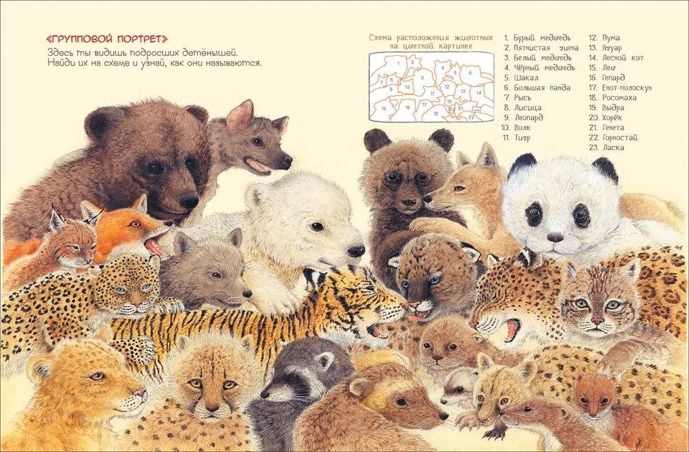 Мамы и малыши фото книги 2