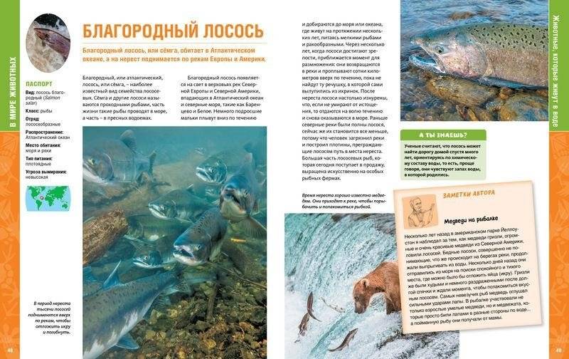 В мире животных. Энциклопедия фото книги 6