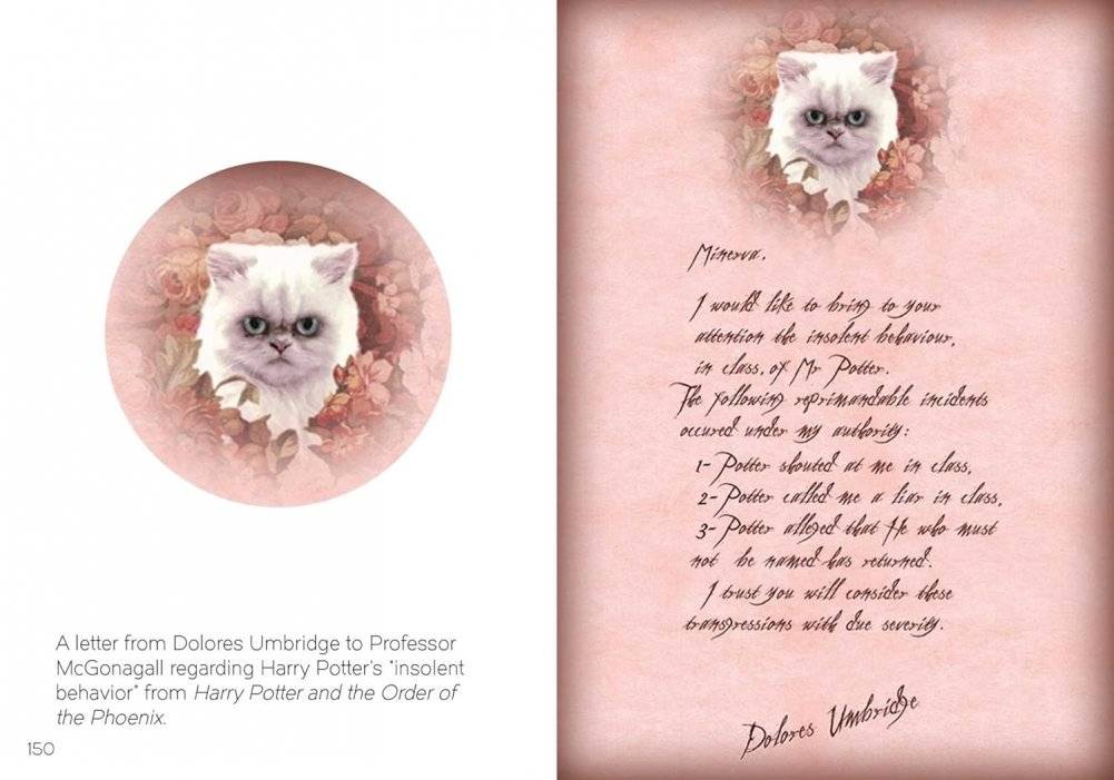 The Art of Harry Potter. Mini Book of Graphic Design фото книги 5