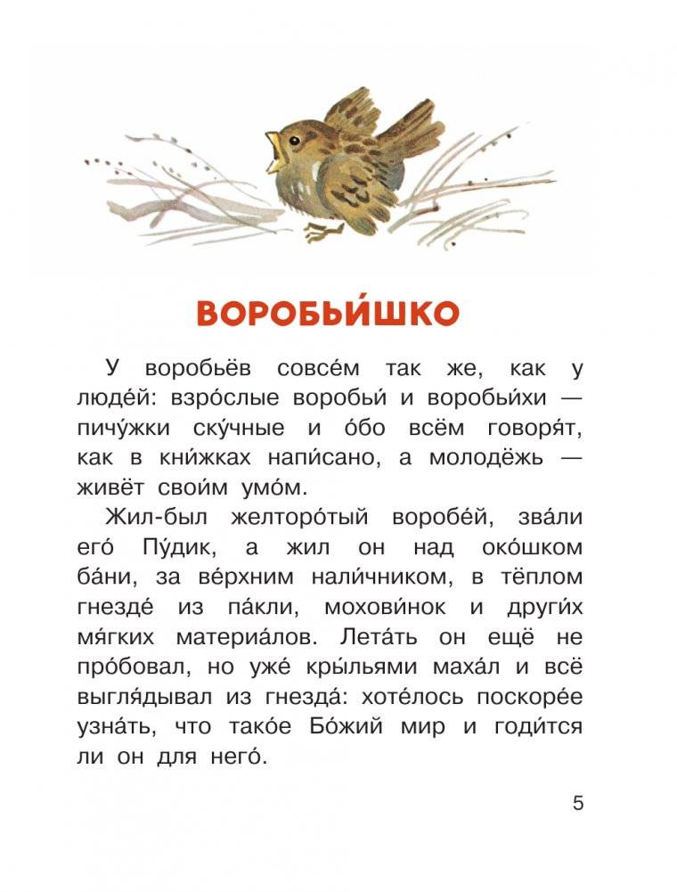 Воробьишко и другие сказки фото книги 5
