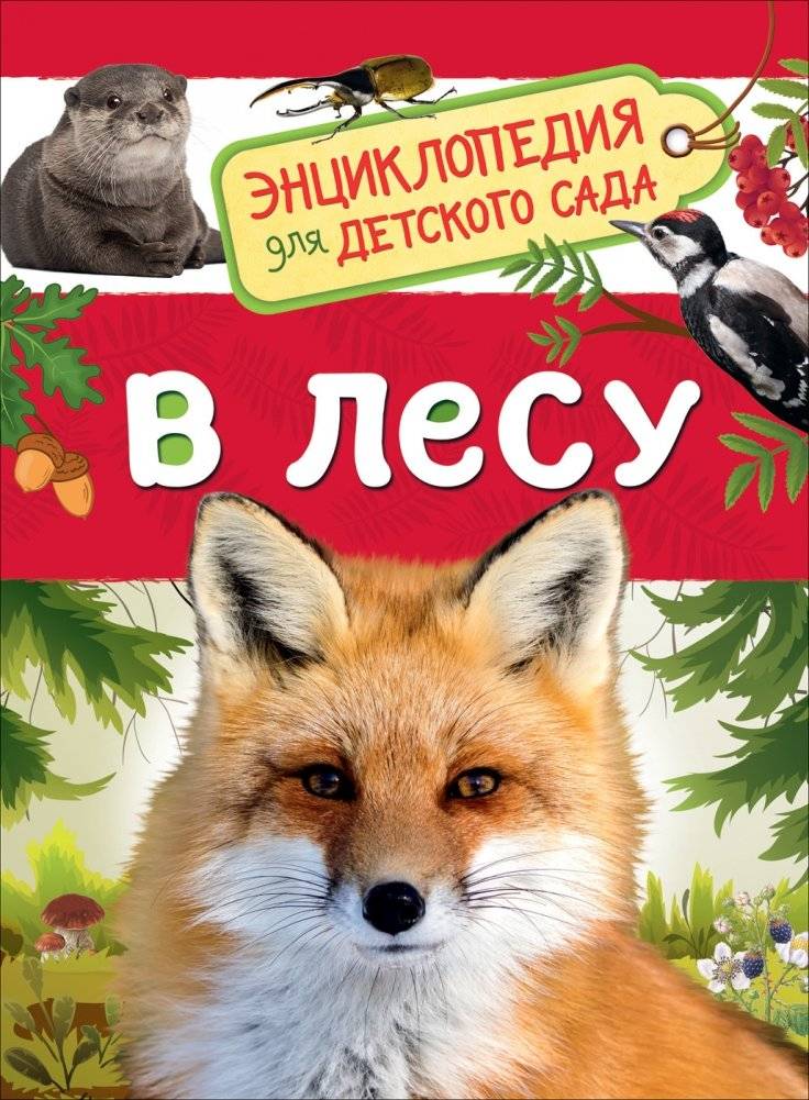 В лесу | In the Forest