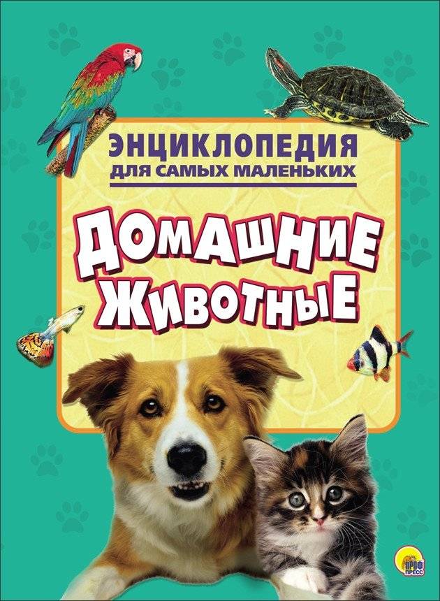 Энциклопедия для самых маленьких. Домашние животные | Encyclopedia for the Little Ones. Domestic Animals